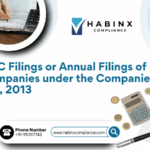 ROC Filings or Annual Filings of Companies